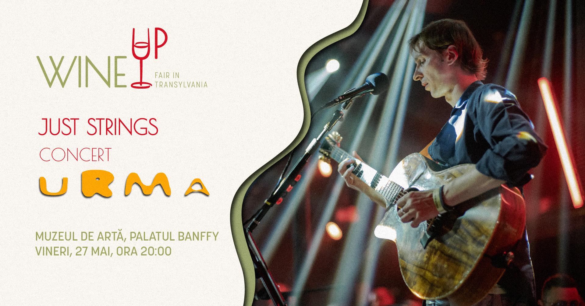 WineUp Fair in Transylvania, ediția a 6 a